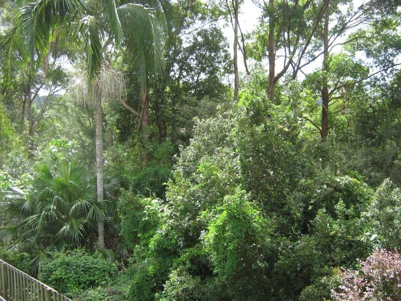 Kiels Mountain QLD 4559