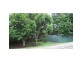Woombye QLD 4559