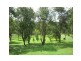 West Woombye QLD 4559