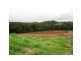 Diddillibah QLD 4559
