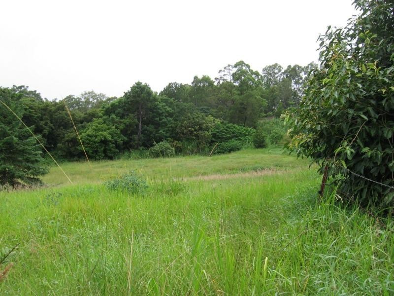 Palmwoods QLD 4555