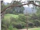 Palmwoods QLD 4555