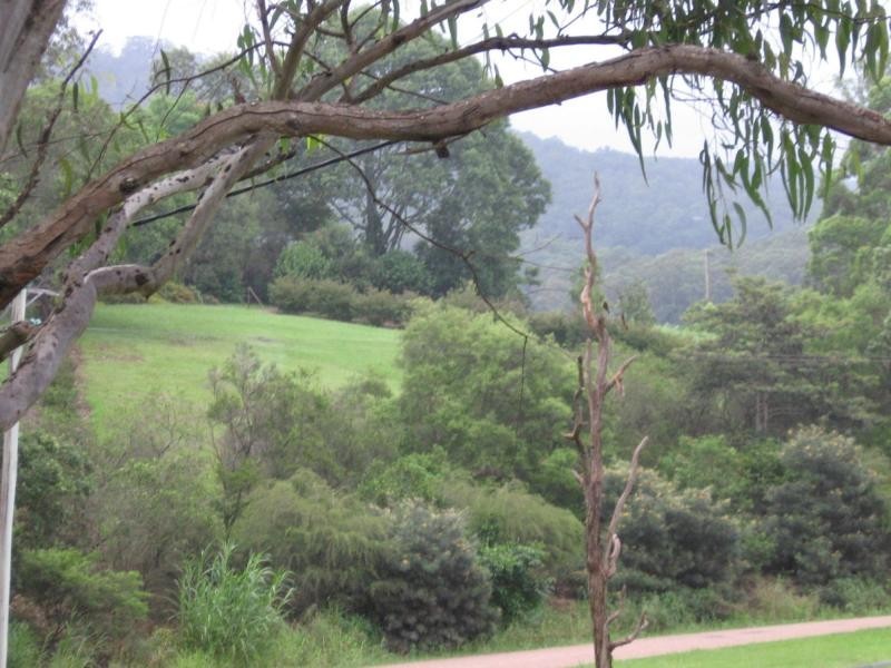 Palmwoods QLD 4555