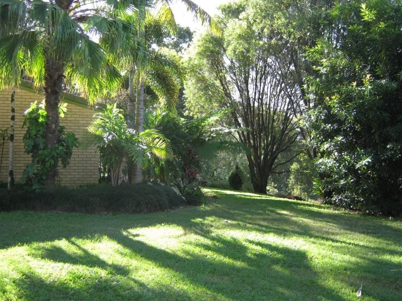 Palmwoods QLD 4555