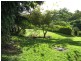 Palmwoods QLD 4555