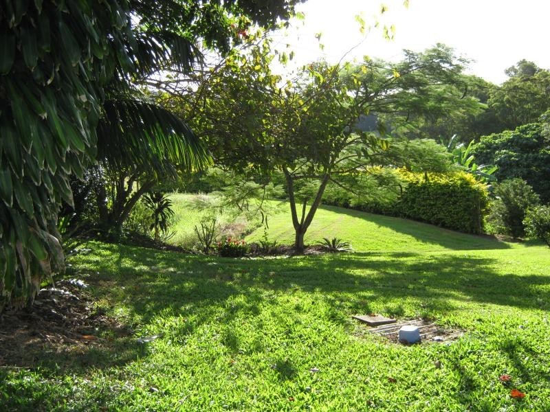 Palmwoods QLD 4555