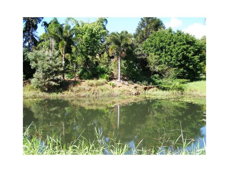 Palmwoods QLD 4555