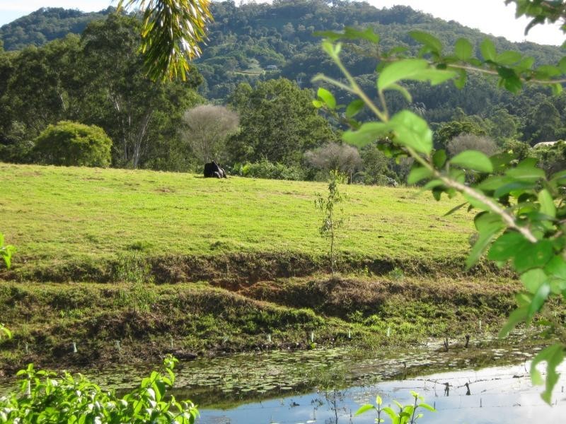 Palmwoods QLD 4555