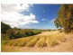 Woombye QLD 4559