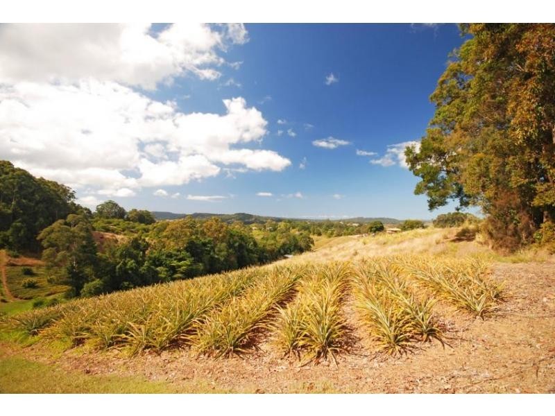Woombye QLD 4559