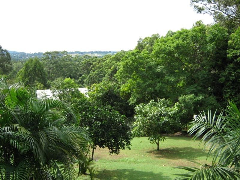 81 Parsons Knob Road, West Woombye QLD 4559