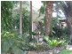 Palmwoods QLD 4555