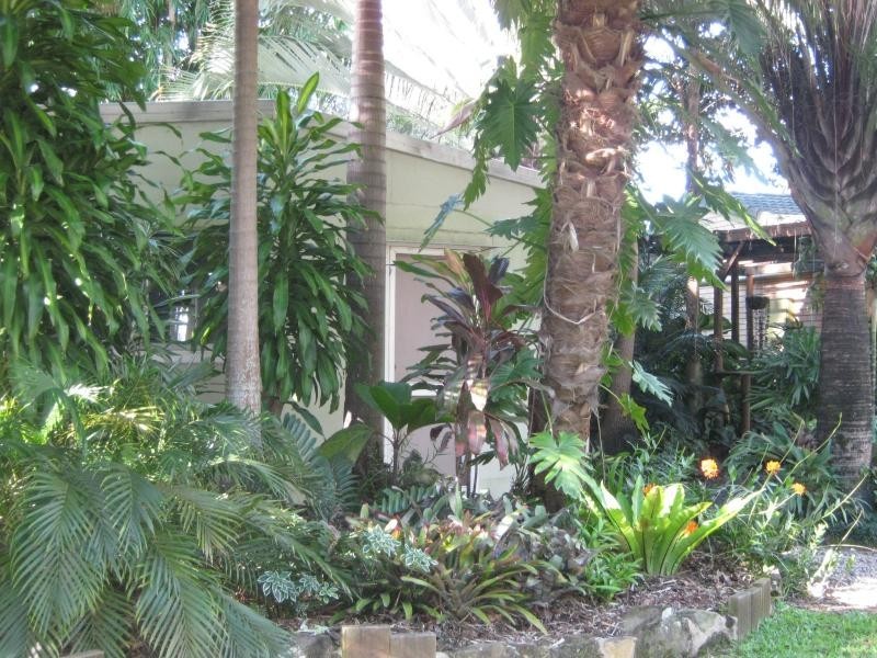 Palmwoods QLD 4555