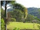 Palmwoods QLD 4555