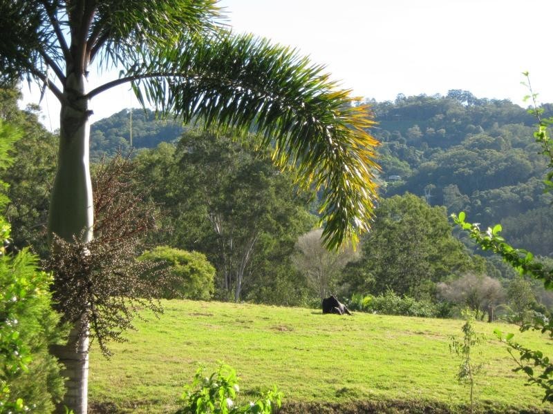 Palmwoods QLD 4555