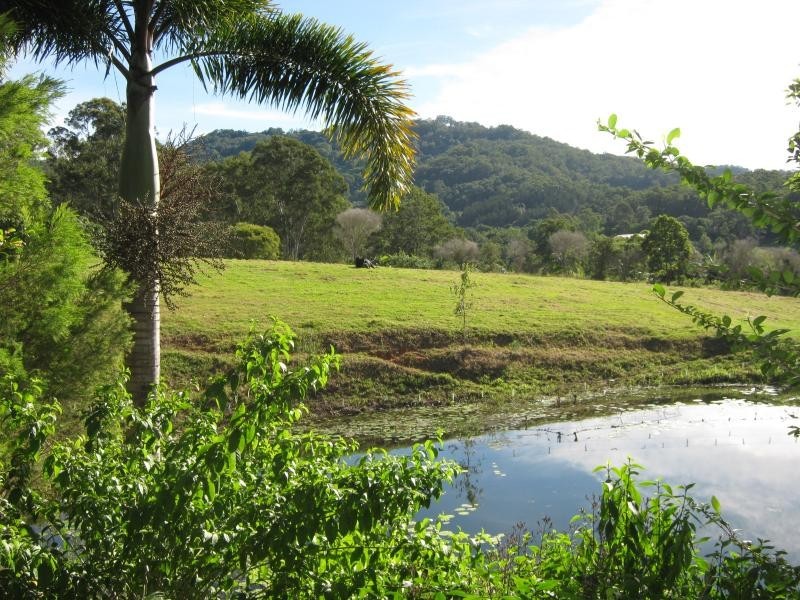 Palmwoods QLD 4555