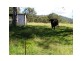 Palmwoods QLD 4555