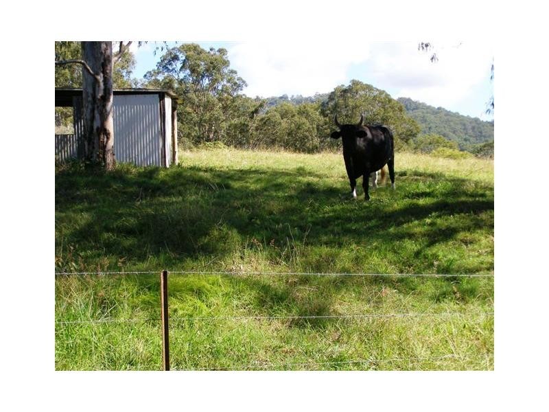 Palmwoods QLD 4555