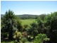 Palmwoods QLD 4555