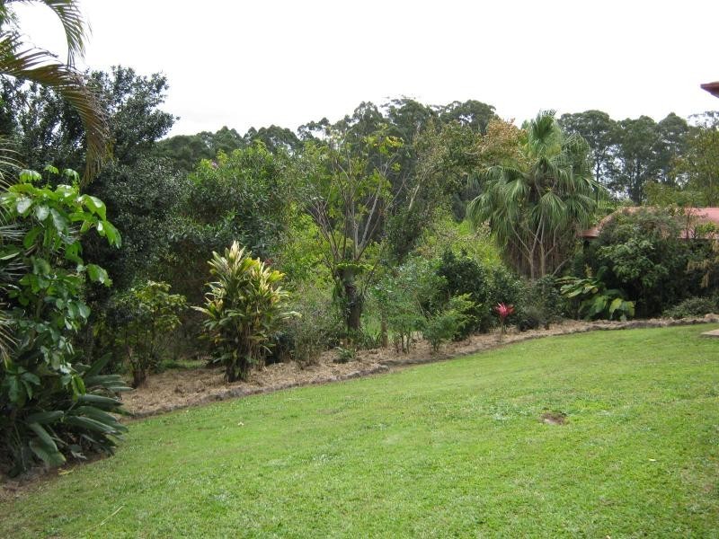 Palmwoods QLD 4555