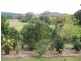 Palmwoods QLD 4555