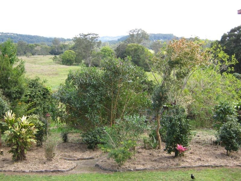 Palmwoods QLD 4555