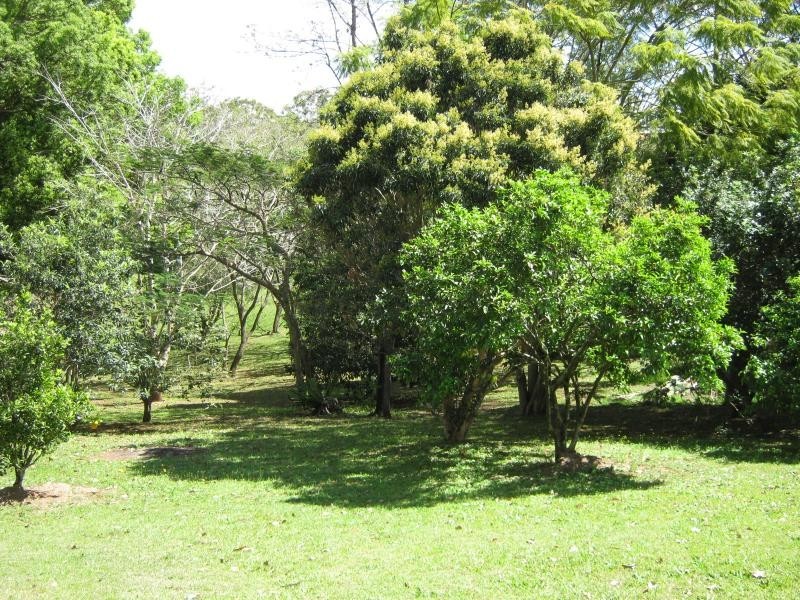 Woombye QLD 4559