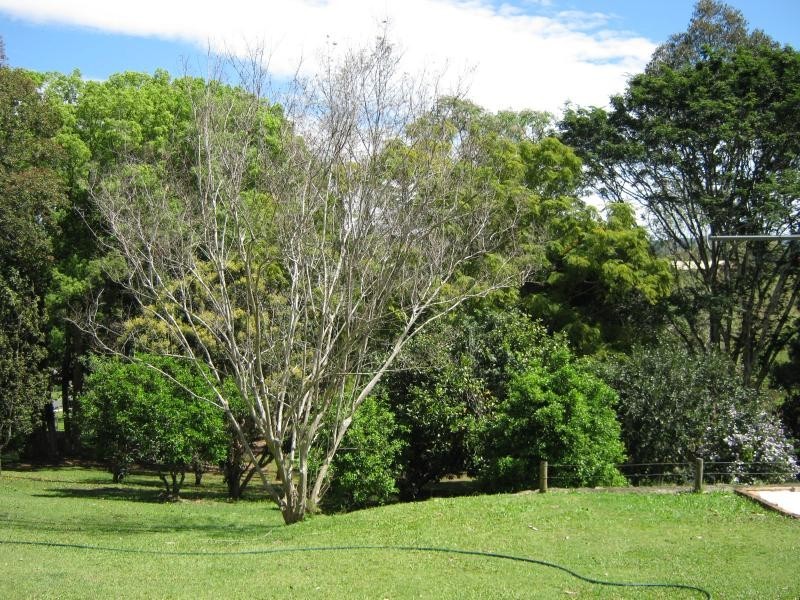 Woombye QLD 4559