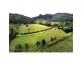 Eumundi QLD 4562
