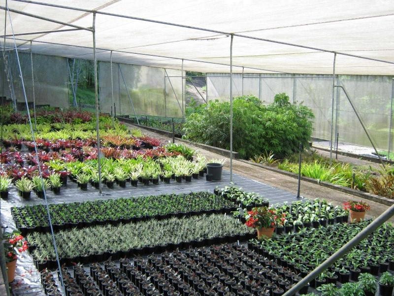 West Woombye QLD 4559