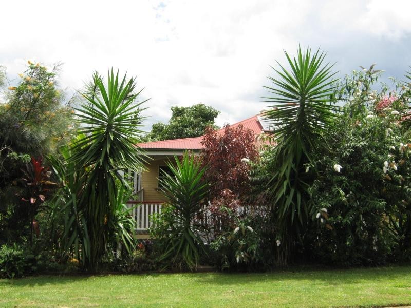 Palmwoods QLD 4555