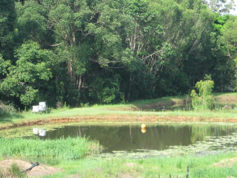 West Woombye QLD 4559