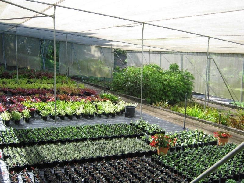 West Woombye QLD 4559