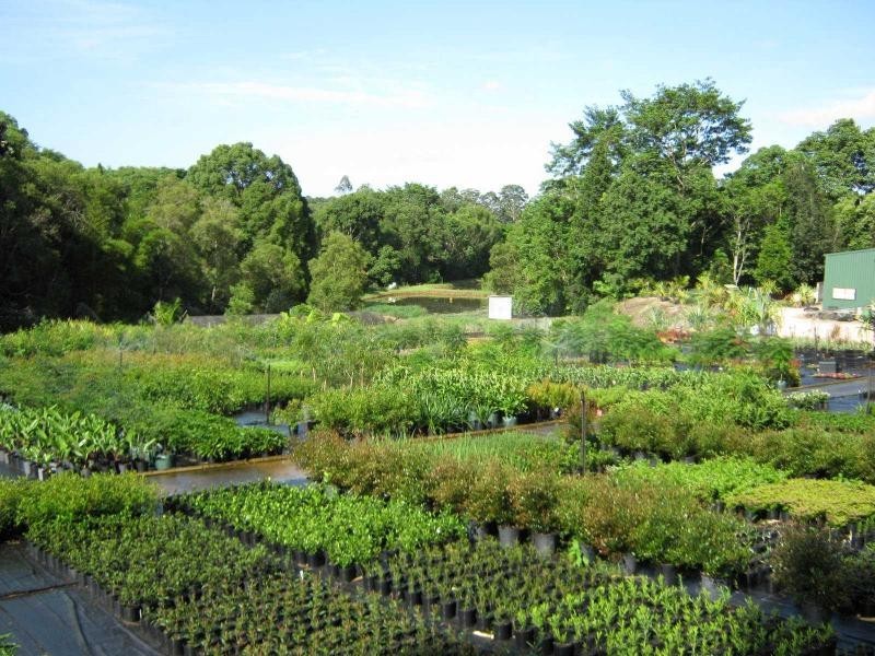 West Woombye QLD 4559