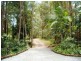 Palmwoods QLD 4555