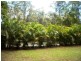 Palmwoods QLD 4555
