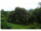 Palmwoods QLD 4555