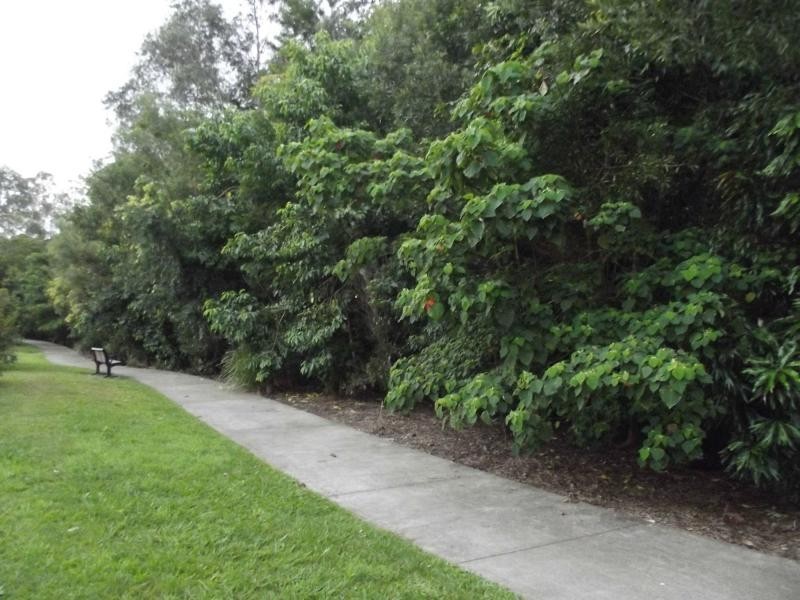 8 Puch Street, Northridge Estate, Coes Creek QLD 4560