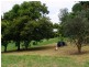 Palmwoods QLD 4555