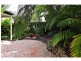 30 Rimmel Place, Palmwoods QLD 4555