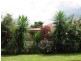 Palmwoods QLD 4555