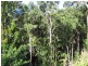 73 Merimist Way, Kiels Mountain QLD 4559