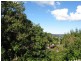 Nambour QLD 4560