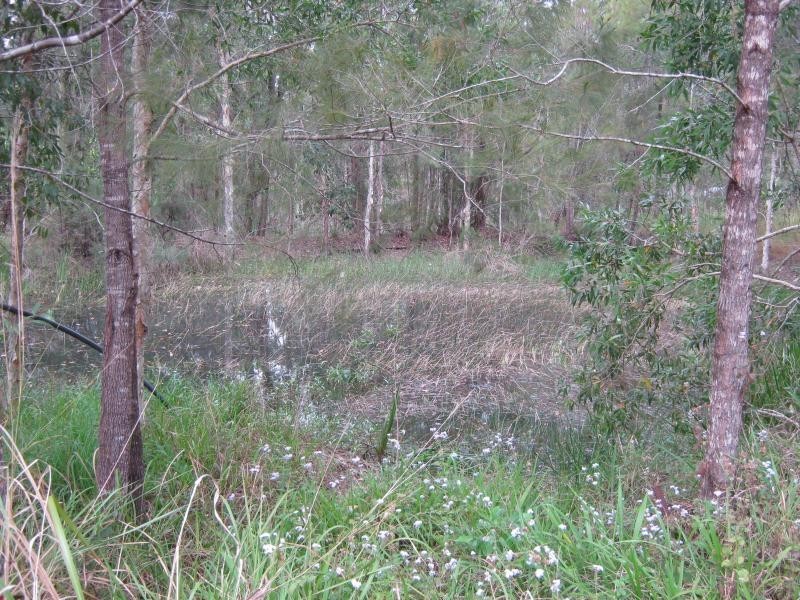 Yandina QLD 4561