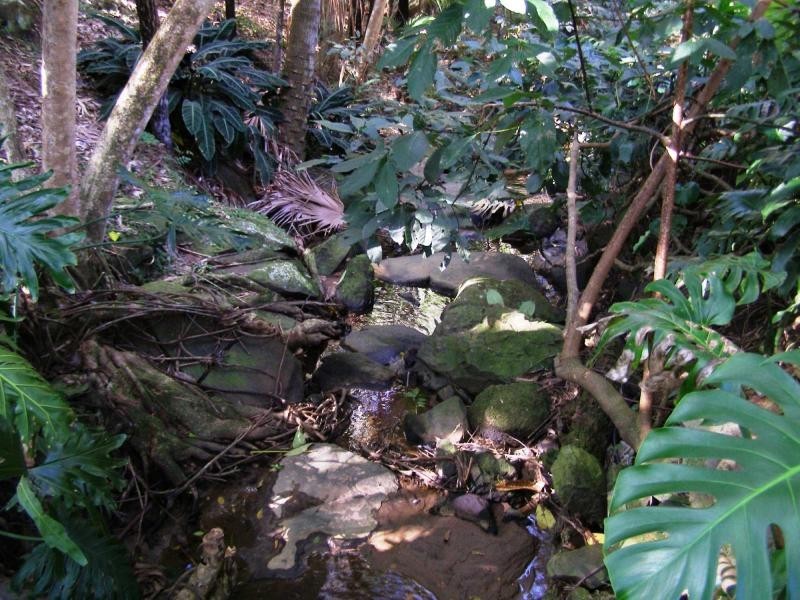 29B Kerrs Lane, Coes Creek, Nambour QLD 4560