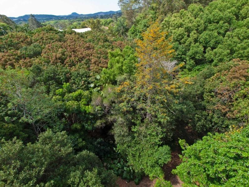29B Kerrs Lane, Coes Creek, Nambour QLD 4560