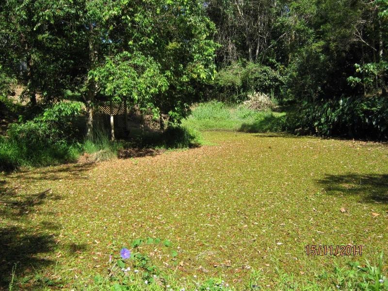 340 Highlands Road, Eudlo QLD 4554