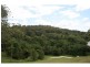 29 Ringtail Place, Bli Bli QLD 4560