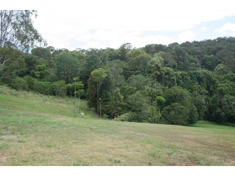 29 Ringtail Place, Bli Bli QLD 4560