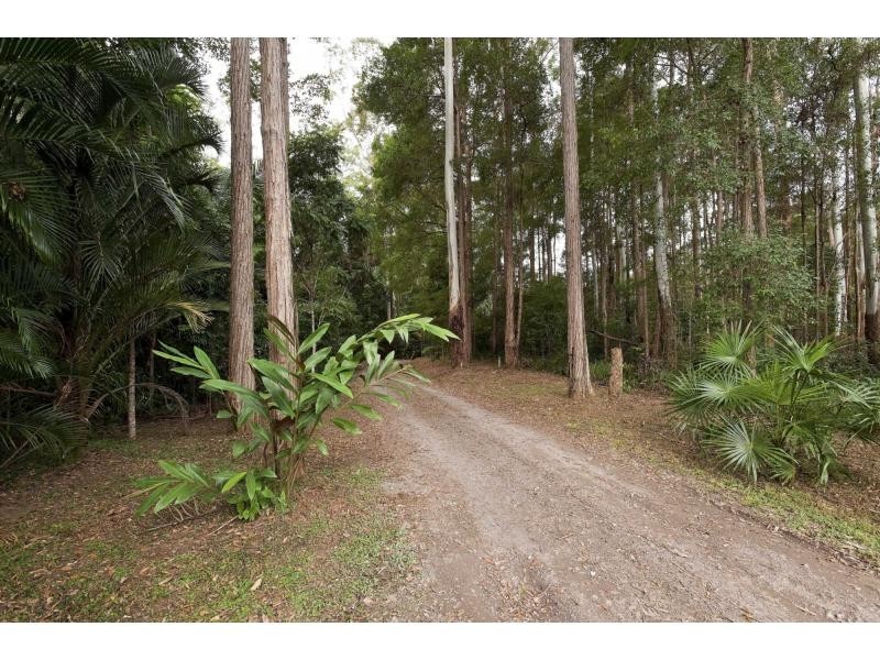Palmwoods QLD 4555